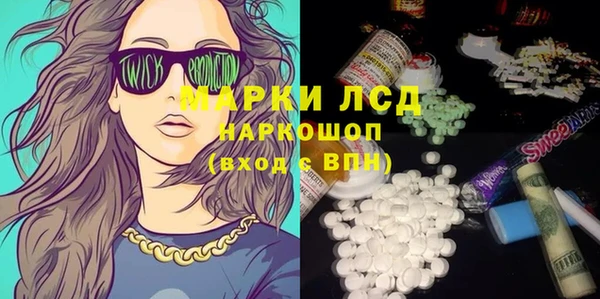 индика Аркадак