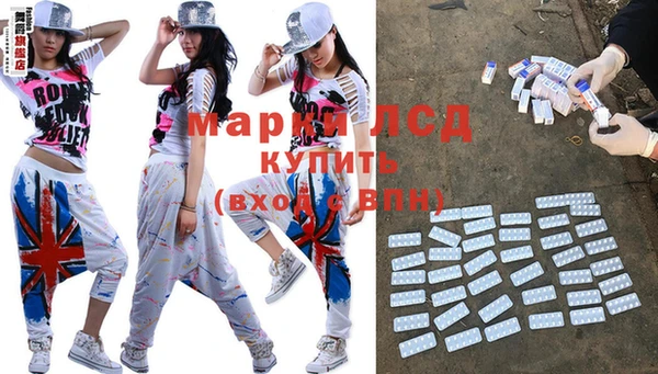 индика Аркадак