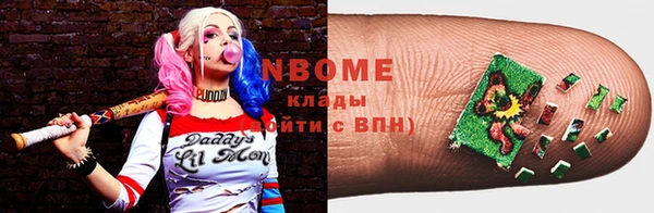 индика Аркадак