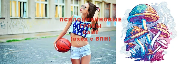индика Аркадак